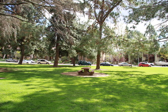 Enlarge photo 24