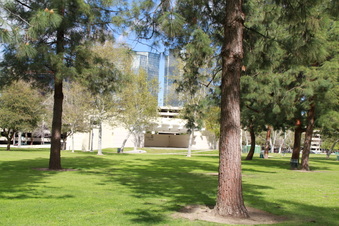 Enlarge photo 30
