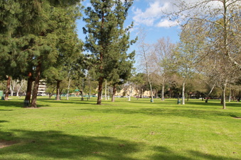 Enlarge photo 29