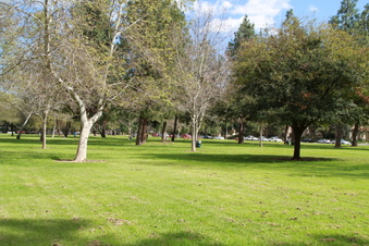 Enlarge photo 28