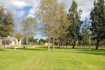 Enlarge photo 33