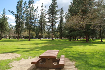 Enlarge photo 32