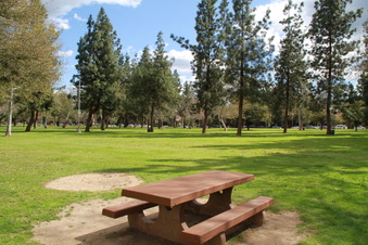 Enlarge photo 31