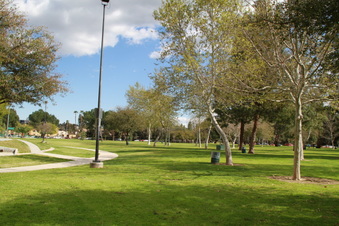 Enlarge photo 35