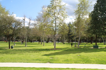 Enlarge photo 39