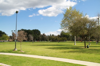 Enlarge photo 38