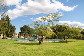 Enlarge photo 43