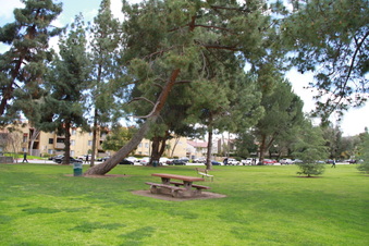 Enlarge photo 42
