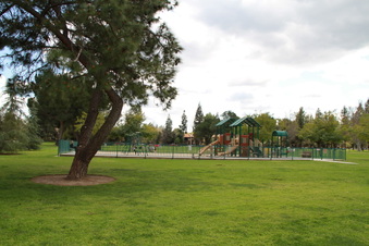 Enlarge photo 41