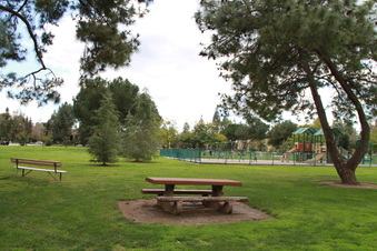 Enlarge photo 40