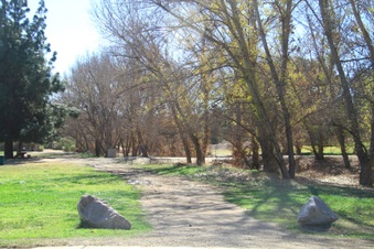 Enlarge photo 16