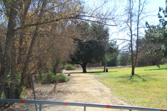 Enlarge photo 10