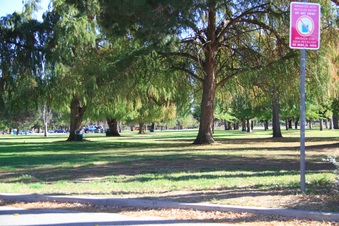 Enlarge photo 7