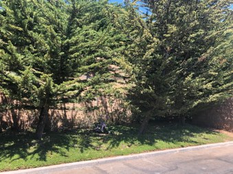 Enlarge photo 31