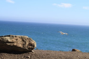 Enlarge photo 42