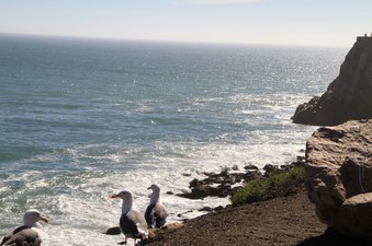 Enlarge photo 20