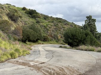 Enlarge photo 13