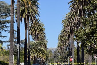 Enlarge photo 15
