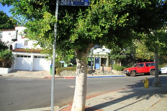 Enlarge photo 31