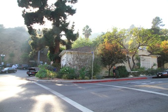 Enlarge photo 37