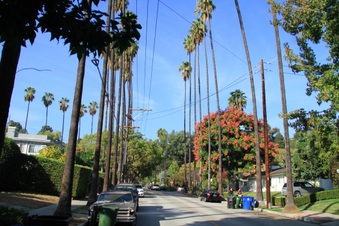 Bronson & Canyon