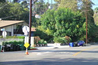 Enlarge photo 3
