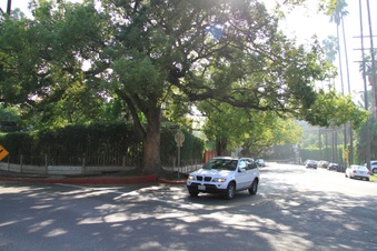 Enlarge photo 11