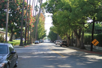 Enlarge photo 13