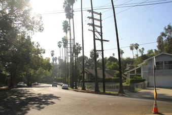Enlarge photo 15