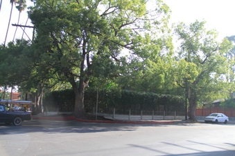 Enlarge photo 23