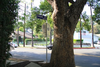 Enlarge photo 25