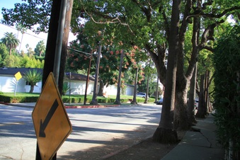 Enlarge photo 28