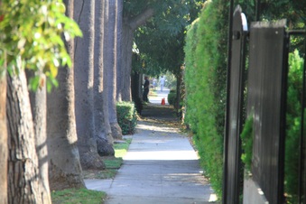Enlarge photo 29