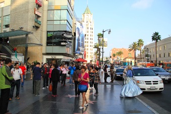 Enlarge photo 46