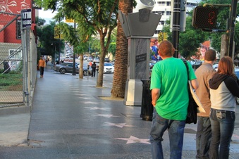 Enlarge photo 64
