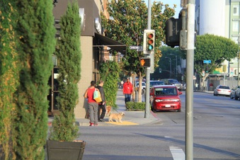 Enlarge photo 35