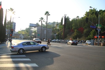 Enlarge photo 16