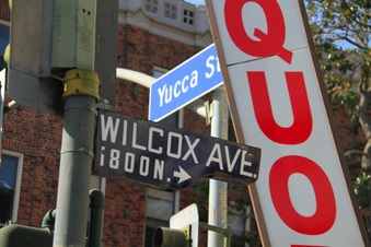Yucca & Wilcox