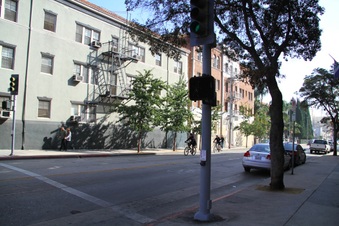 Enlarge photo 20
