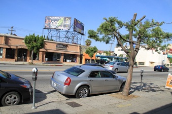 Enlarge photo 15