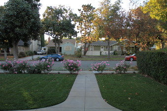 Enlarge photo 7
