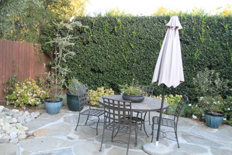 Enlarge photo 62