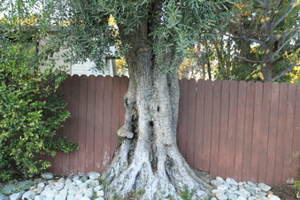 Enlarge photo 63