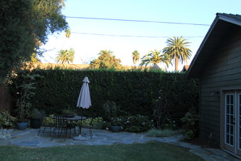Enlarge photo 72
