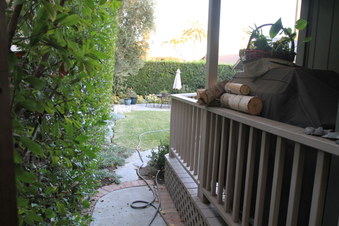 Enlarge photo 74