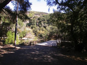 Enlarge photo 6