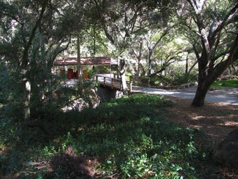 Enlarge photo 52
