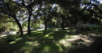 Enlarge photo 54