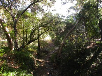 Enlarge photo 55