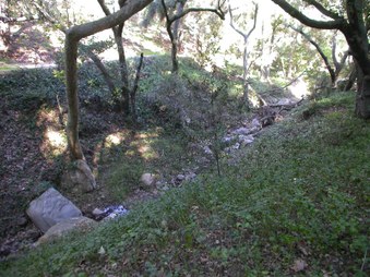 Enlarge photo 57